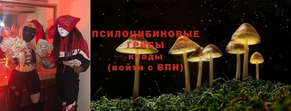 ПСИЛОЦИБИНОВЫЕ ГРИБЫ Арсеньев