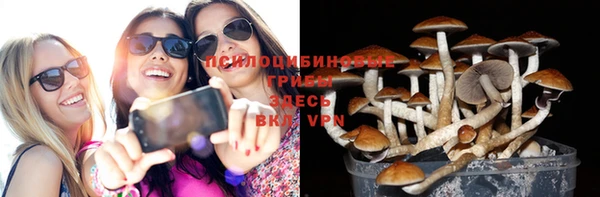 ПСИЛОЦИБИНОВЫЕ ГРИБЫ Арсеньев