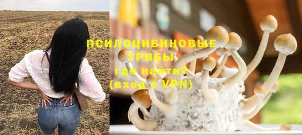 не бодяженный Армянск